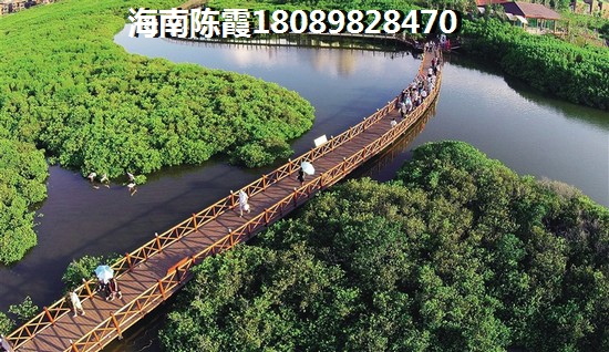 屯昌合景房产能生纸吗